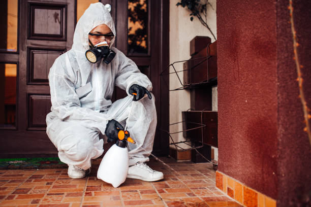 Reliable Bed Bug Control contractor in Muskegon, MI by Nex Pest Control