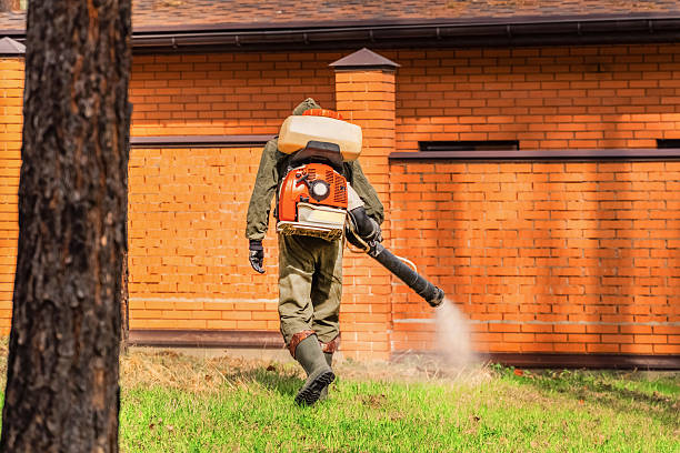 Trusted Rodent Control service in Muskegon, MI - Nex Pest Control